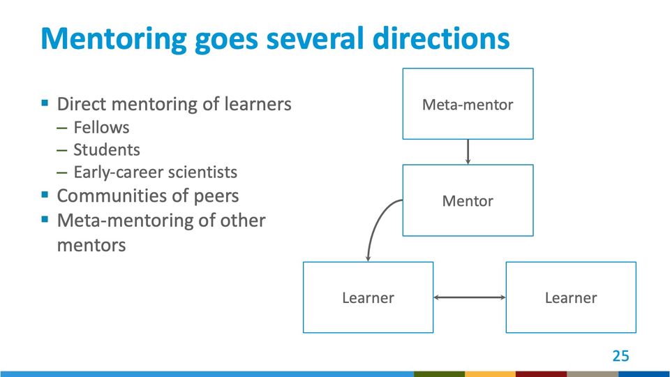 Diagram of 4 labeled boxes joined by arrows: Meta-mentor above Mentor, Mentor to a Learner, and 2 Learners linked both ways.