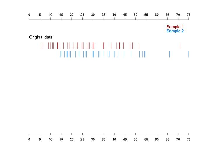 Rug plot of 2 samples of values on a common 0 to 75 scale, one row of red tick marks and one row of blue.