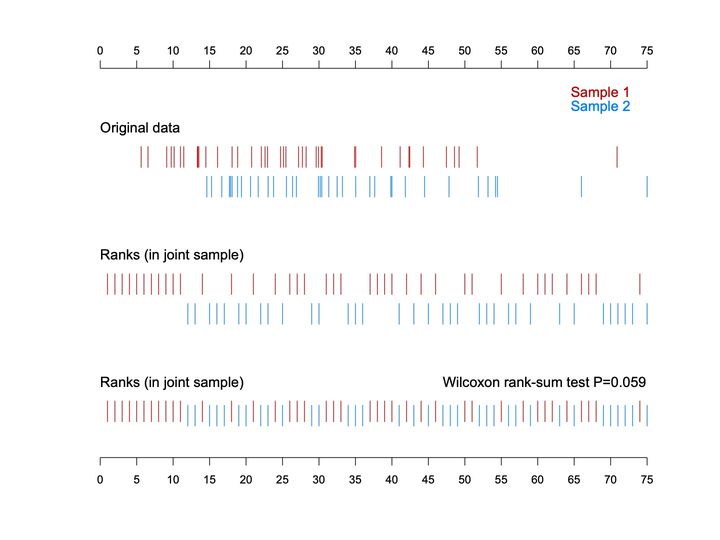 The 2-sample rug plot with a third band merging both samples' ranks into one row, annotated with a Wilcoxon rank-sum P-value.