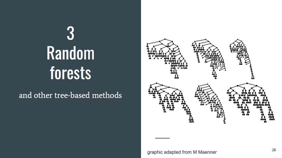 Six tree diagrams in black on white, each a single top node branching down into many nodes, arranged in 2 rows of 3.